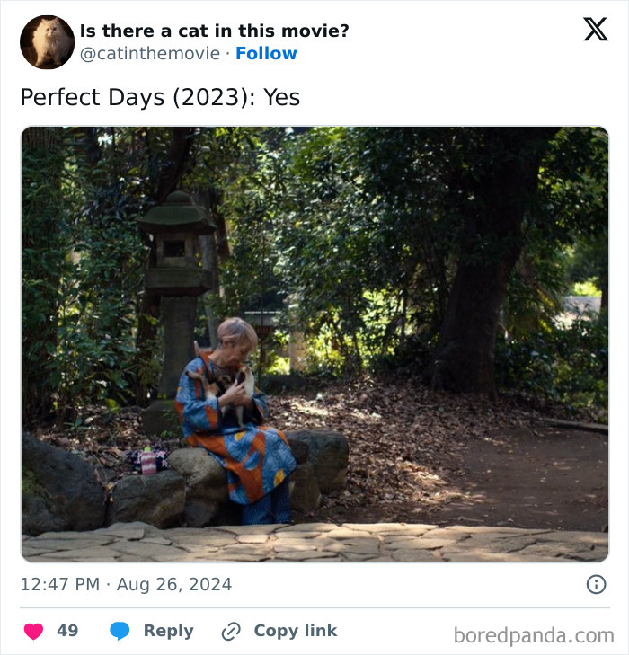 Wait, They Actually Counted ALL These Cats in Movies?