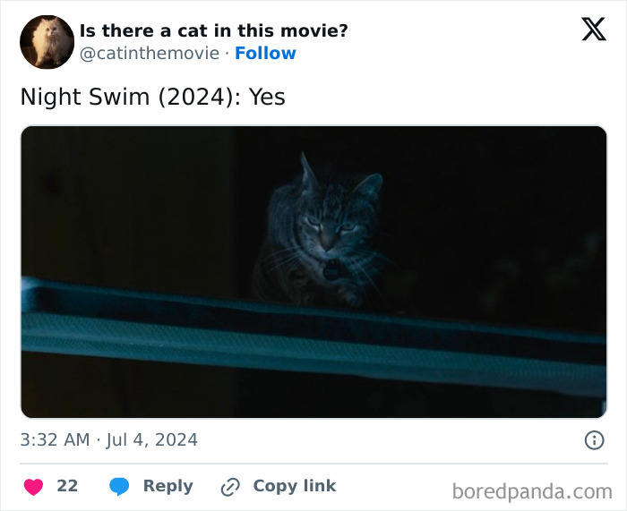Wait, They Actually Counted ALL These Cats in Movies?