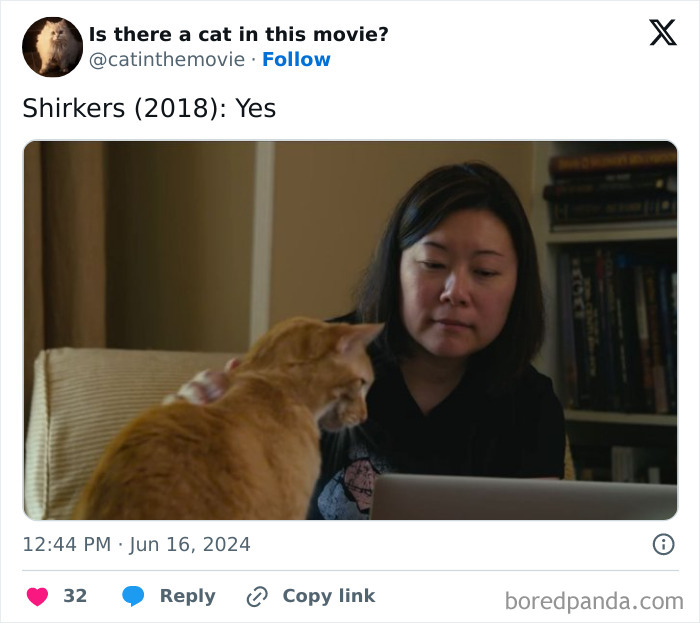 Wait, They Actually Counted ALL These Cats in Movies?