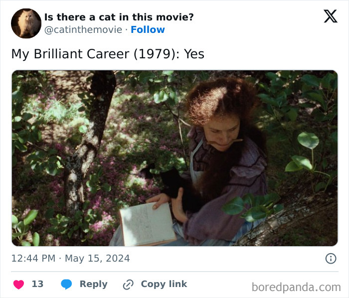 Wait, They Actually Counted ALL These Cats in Movies?