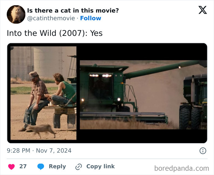 Wait, They Actually Counted ALL These Cats in Movies?