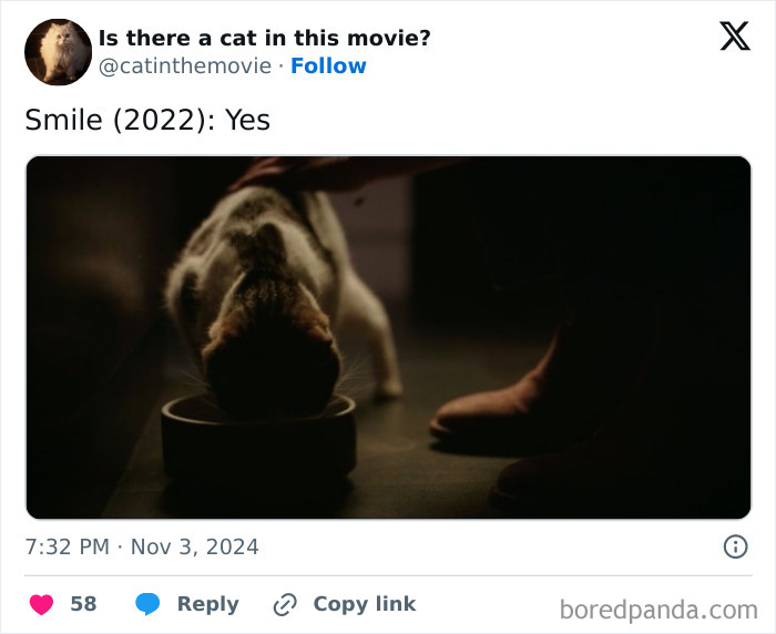 Wait, They Actually Counted ALL These Cats in Movies?