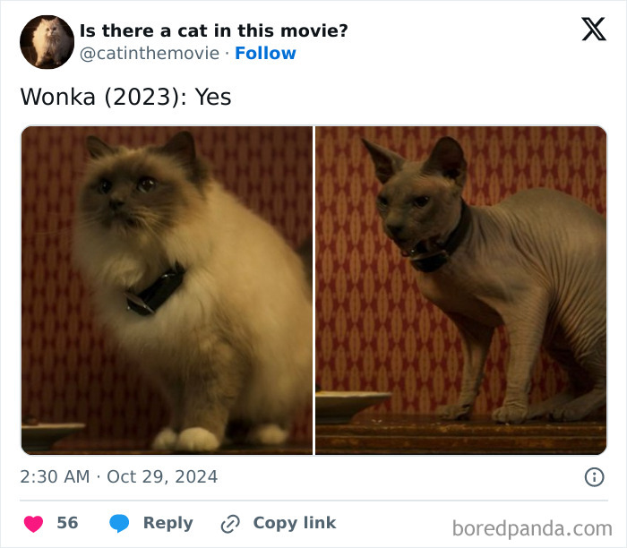 Wait, They Actually Counted ALL These Cats in Movies?