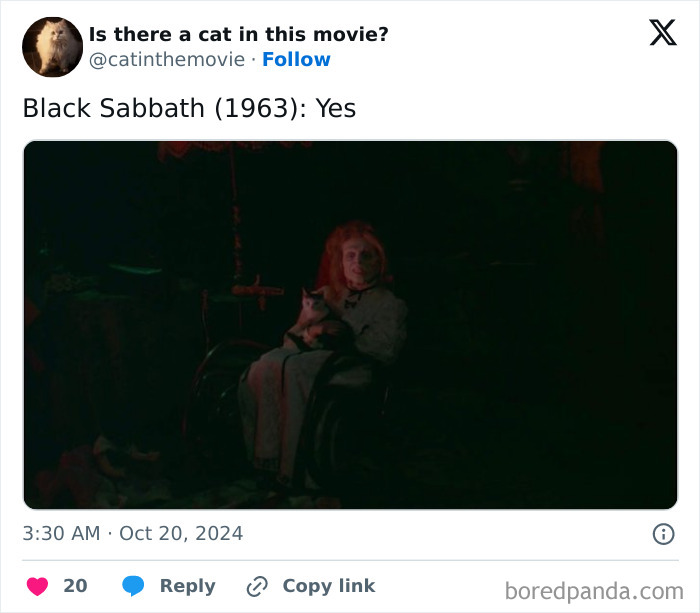 Wait, They Actually Counted ALL These Cats in Movies?