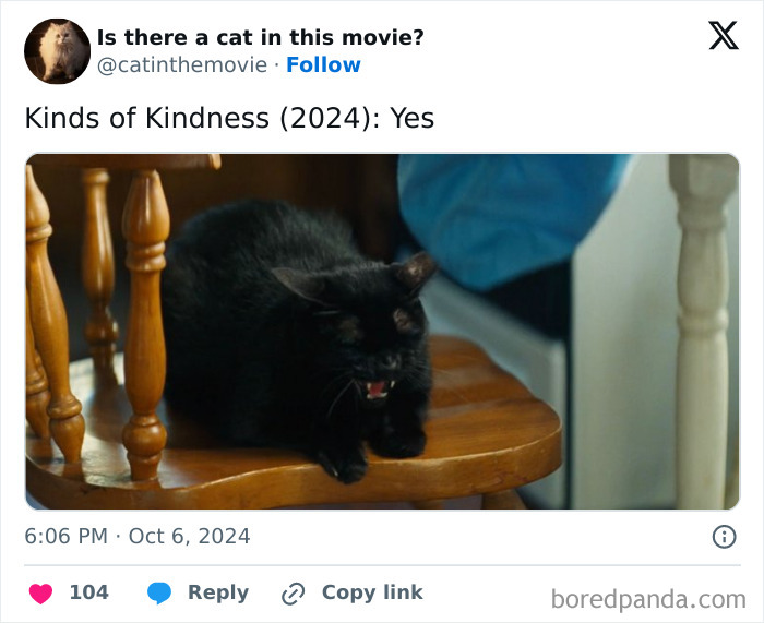 Wait, They Actually Counted ALL These Cats in Movies?