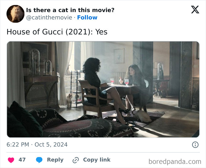 Wait, They Actually Counted ALL These Cats in Movies?