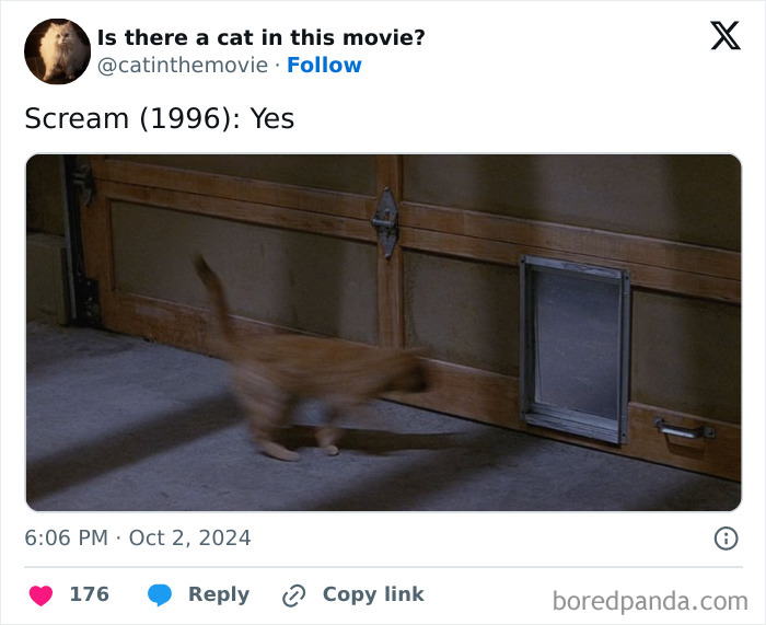 Wait, They Actually Counted ALL These Cats in Movies?