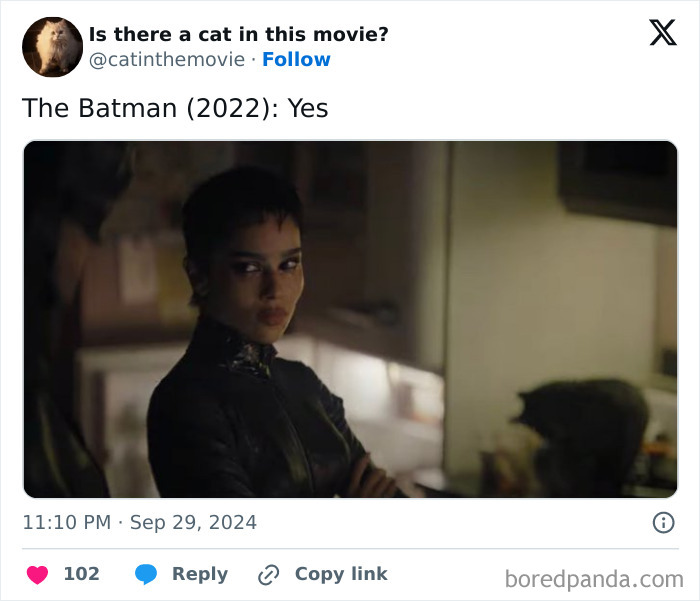 Wait, They Actually Counted ALL These Cats in Movies?