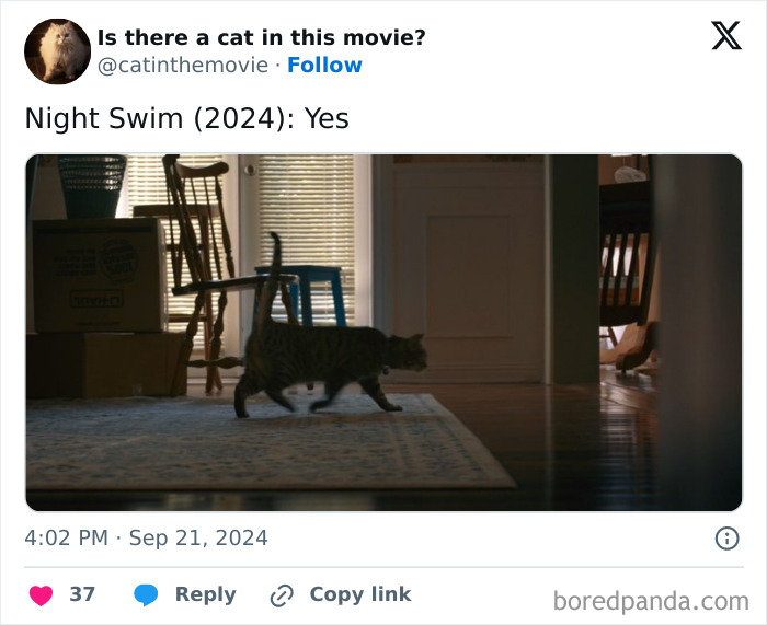 Wait, They Actually Counted ALL These Cats in Movies?