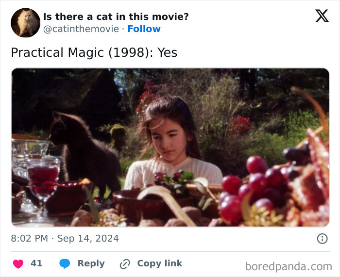 Wait, They Actually Counted ALL These Cats in Movies?