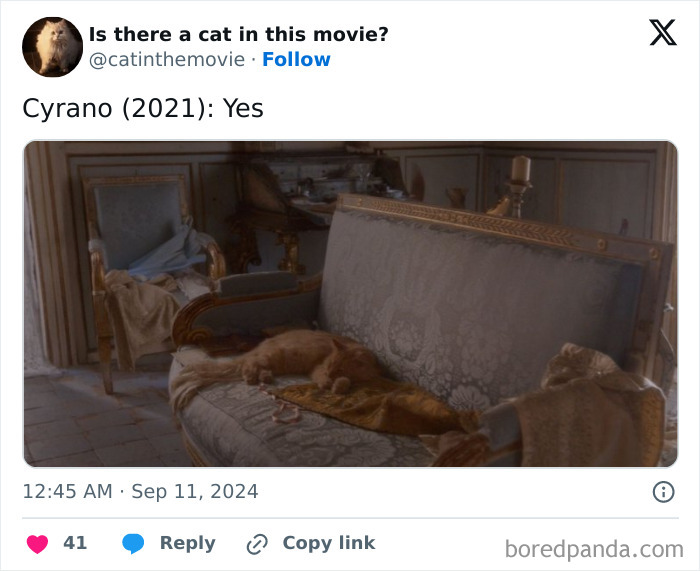 Wait, They Actually Counted ALL These Cats in Movies?