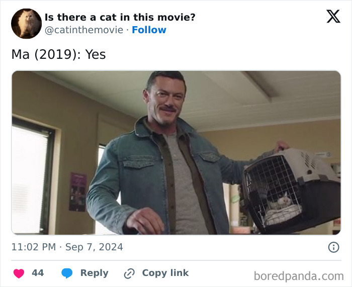 Wait, They Actually Counted ALL These Cats in Movies?