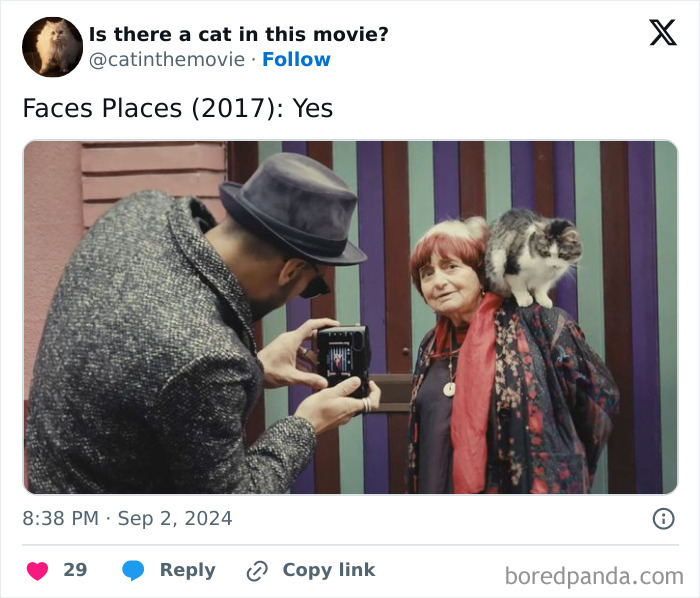Wait, They Actually Counted ALL These Cats in Movies?