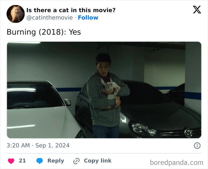 Wait, They Actually Counted ALL These Cats in Movies?
