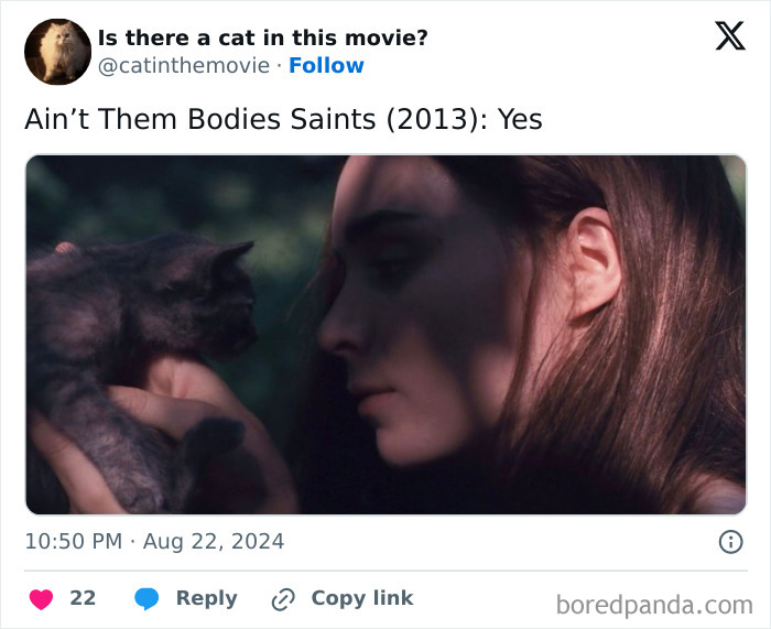 Wait, They Actually Counted ALL These Cats in Movies?