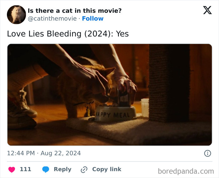 Wait, They Actually Counted ALL These Cats in Movies?