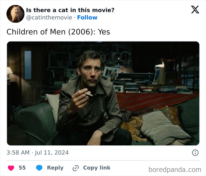 Wait, They Actually Counted ALL These Cats in Movies?