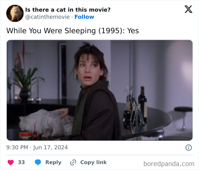 Wait, They Actually Counted ALL These Cats in Movies?
