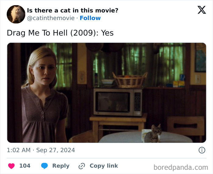 Wait, They Actually Counted ALL These Cats in Movies?