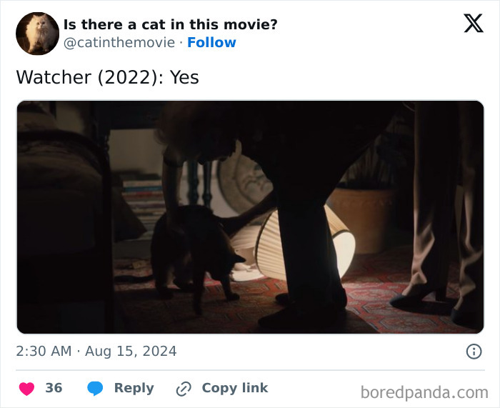 Wait, They Actually Counted ALL These Cats in Movies?