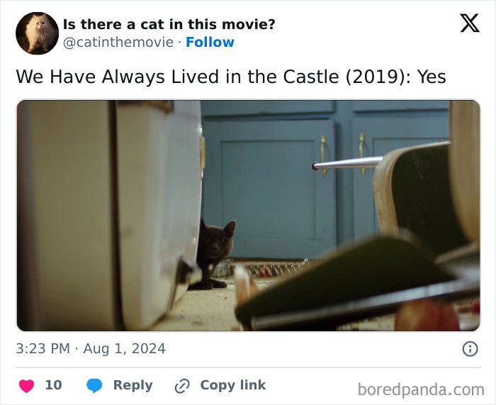 Wait, They Actually Counted ALL These Cats in Movies?