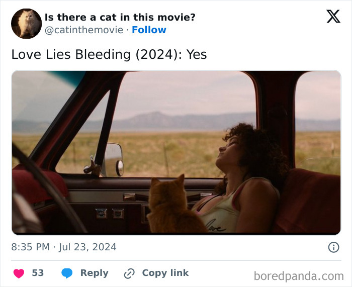 Wait, They Actually Counted ALL These Cats in Movies?