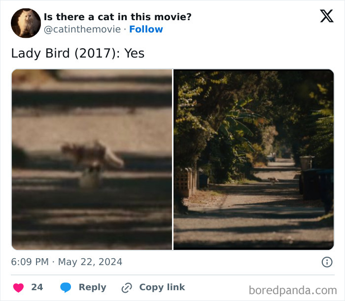 Wait, They Actually Counted ALL These Cats in Movies?