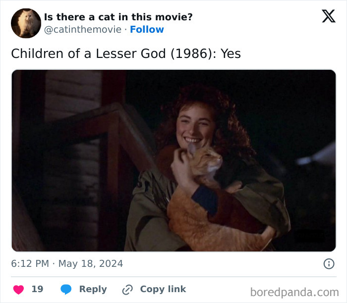 Wait, They Actually Counted ALL These Cats in Movies?