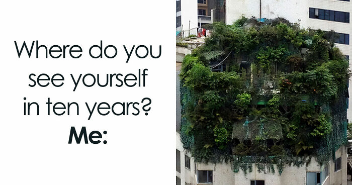 These Plant Memes Are Hilarious And We Found 59 Of The Best Ones!