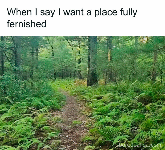 These Plant Memes Are Hilarious And We Found 59 Of The Best Ones!