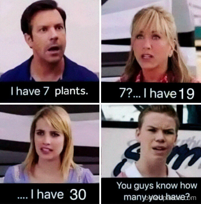 These Plant Memes Are Hilarious And We Found 59 Of The Best Ones!