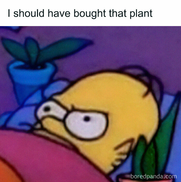 These Plant Memes Are Hilarious And We Found 59 Of The Best Ones!