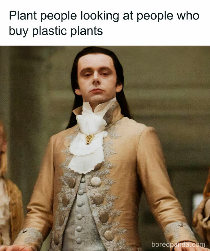 These Plant Memes Are Hilarious And We Found 59 Of The Best Ones!