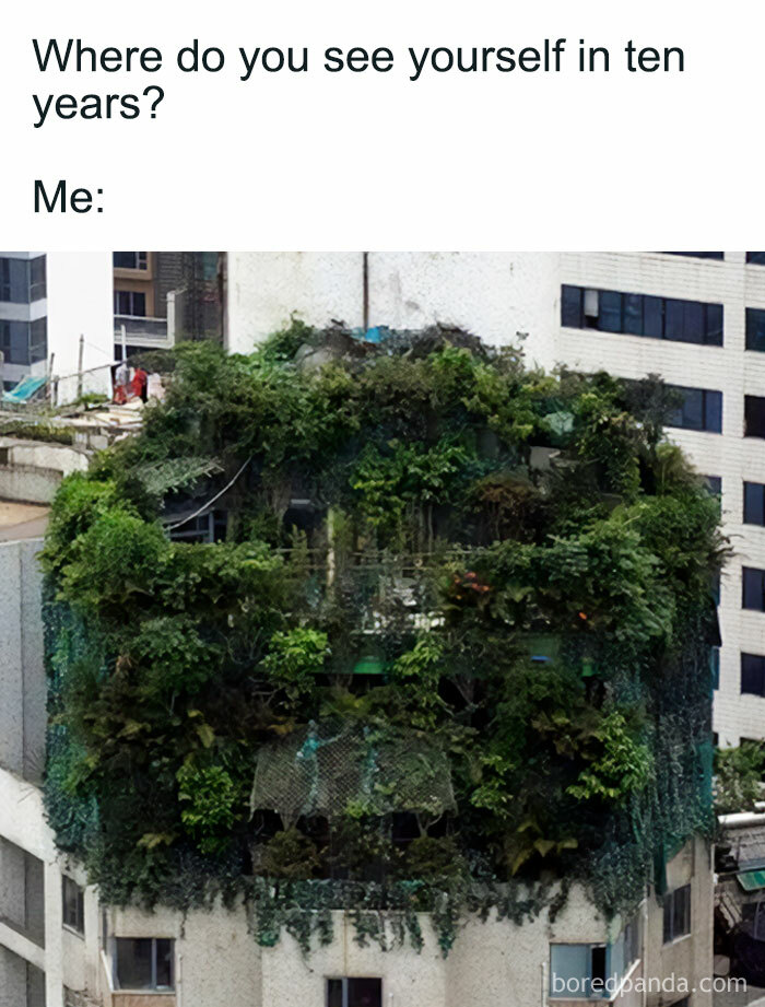 These Plant Memes Are Hilarious And We Found 59 Of The Best Ones!