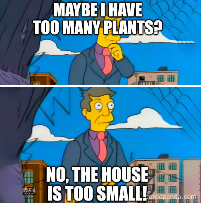 These Plant Memes Are Hilarious And We Found 59 Of The Best Ones!