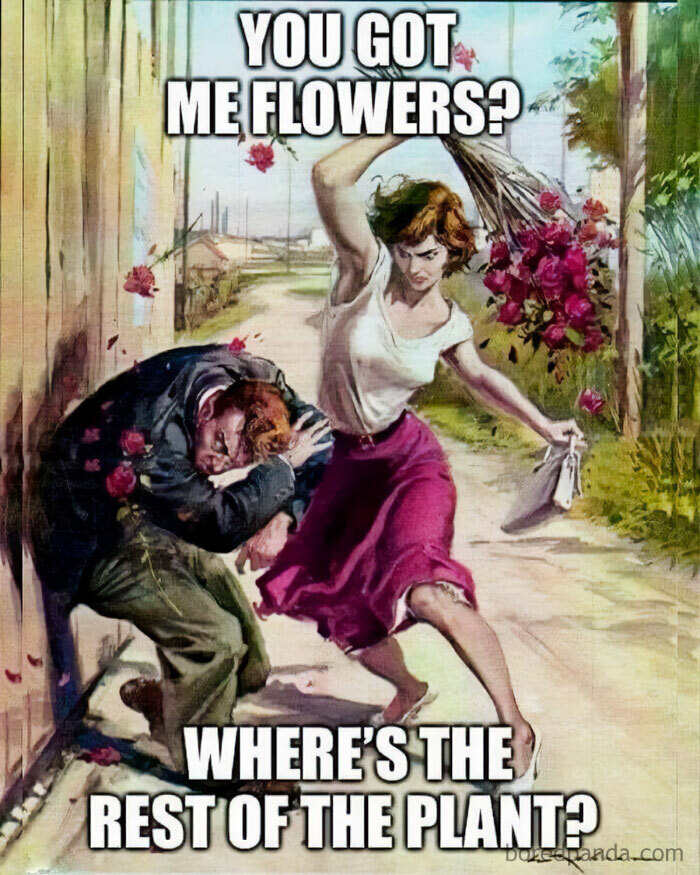 These Plant Memes Are Hilarious And We Found 59 Of The Best Ones!
