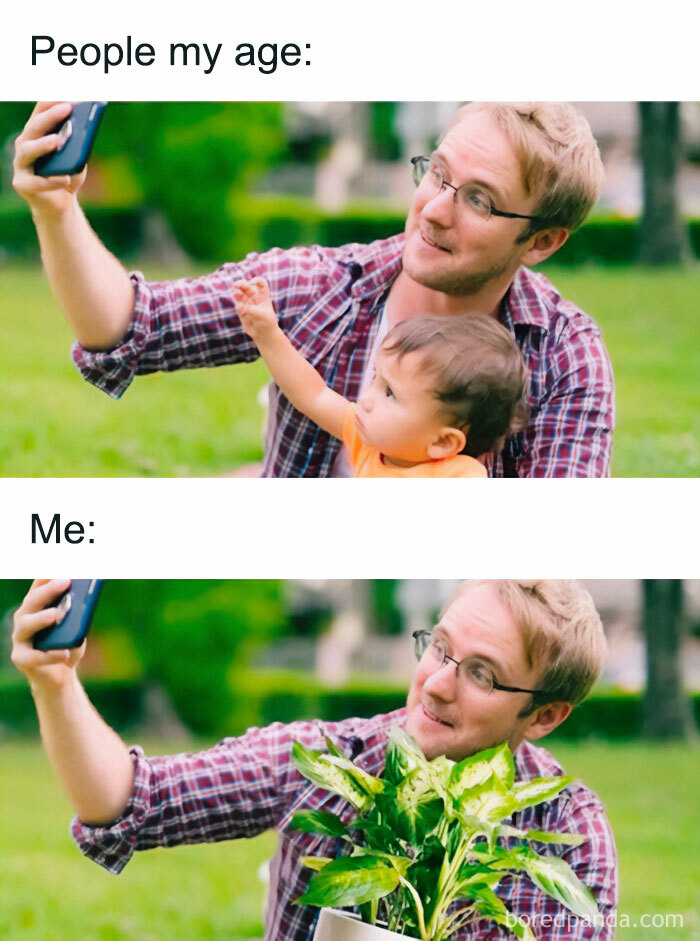These Plant Memes Are Hilarious And We Found 59 Of The Best Ones!