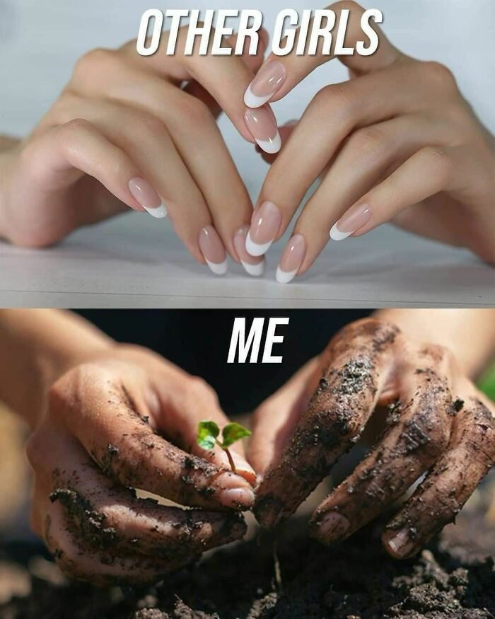 These Plant Memes Are Hilarious And We Found 59 Of The Best Ones!