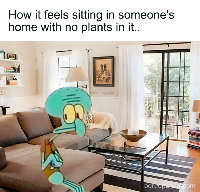 These Plant Memes Are Hilarious And We Found 59 Of The Best Ones!
