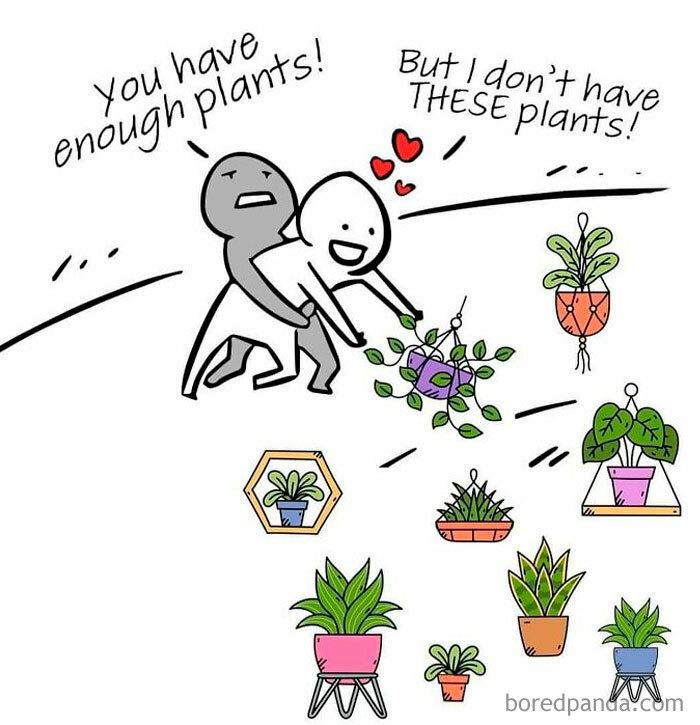These Plant Memes Are Hilarious And We Found 59 Of The Best Ones!