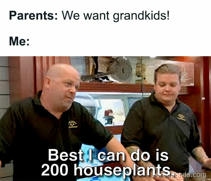These Plant Memes Are Hilarious And We Found 59 Of The Best Ones!