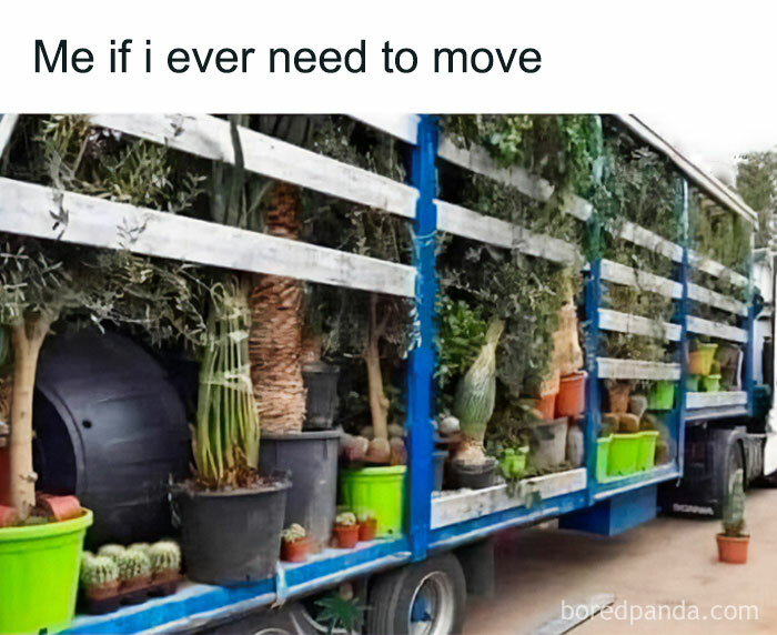 These Plant Memes Are Hilarious And We Found 59 Of The Best Ones!