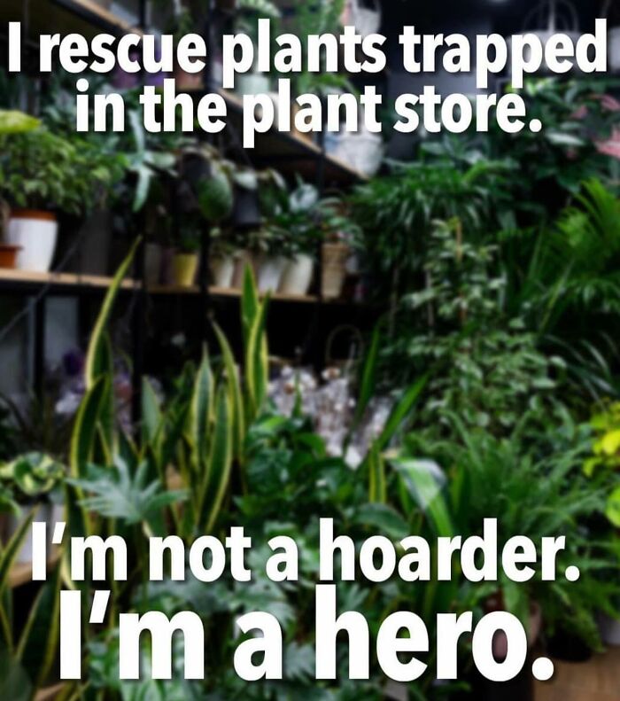 These Plant Memes Are Hilarious And We Found 59 Of The Best Ones!
