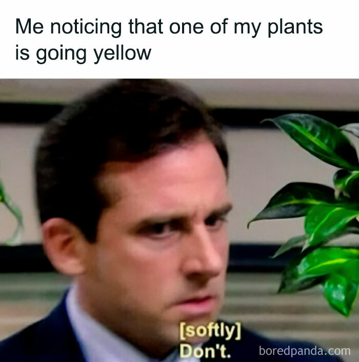 These Plant Memes Are Hilarious And We Found 59 Of The Best Ones!
