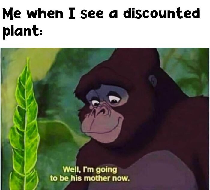 These Plant Memes Are Hilarious And We Found 59 Of The Best Ones!