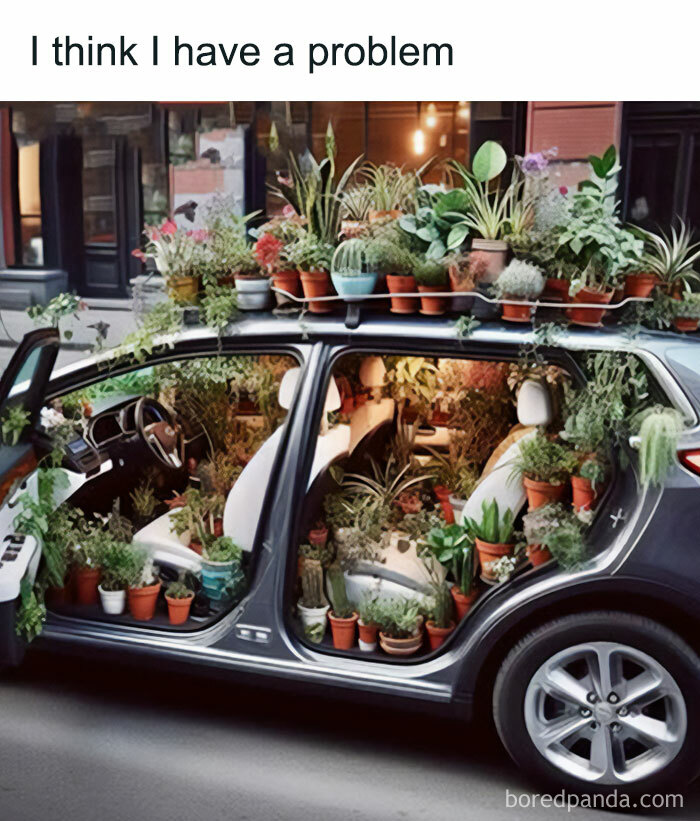These Plant Memes Are Hilarious And We Found 59 Of The Best Ones!