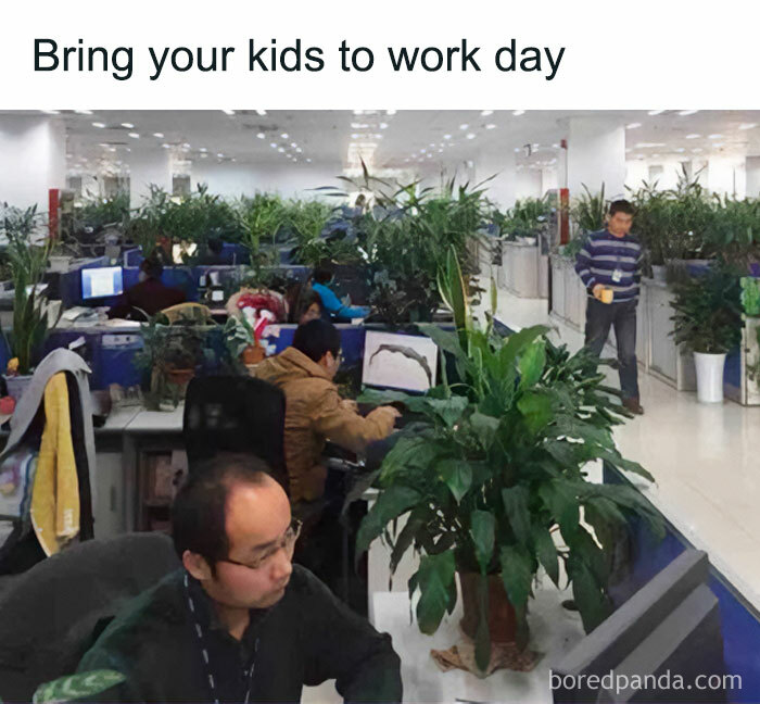 These Plant Memes Are Hilarious And We Found 59 Of The Best Ones!