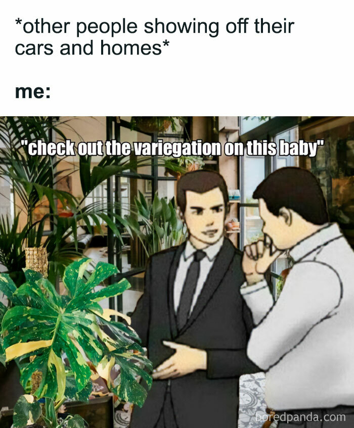 These Plant Memes Are Hilarious And We Found 59 Of The Best Ones!