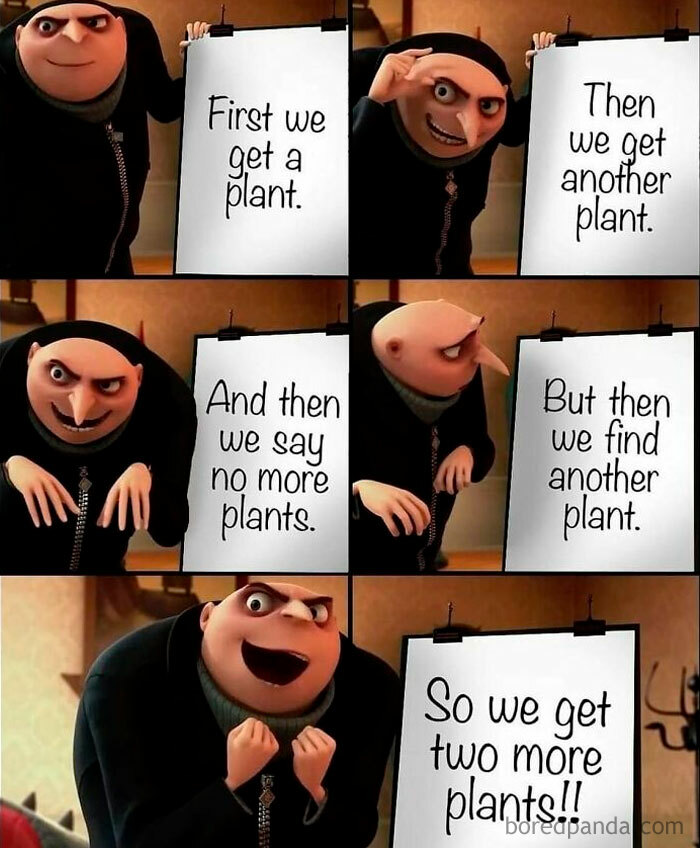 These Plant Memes Are Hilarious And We Found 59 Of The Best Ones!