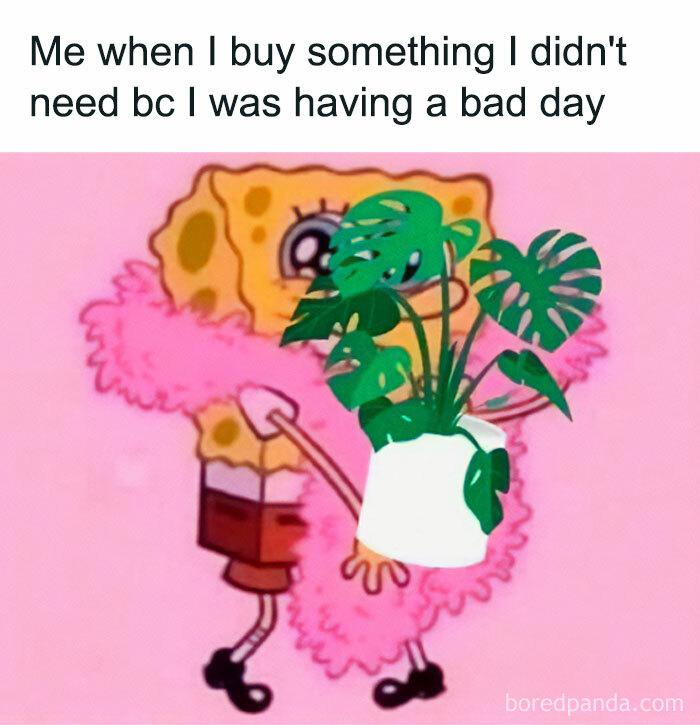 These Plant Memes Are Hilarious And We Found 59 Of The Best Ones!